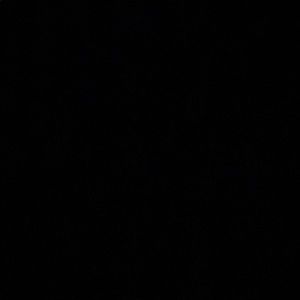 Meet your Posher, Mia